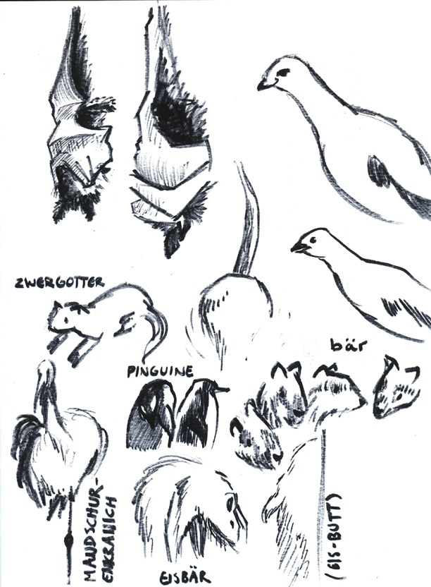 19ba4131965985.56688e3946ccd